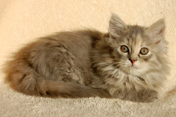 Ophelia -9 Wochen.jpg